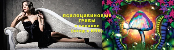 герыч Арсеньев
