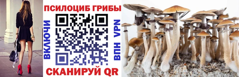 Псилоцибиновые грибы Psilocybine cubensis  Хилок 